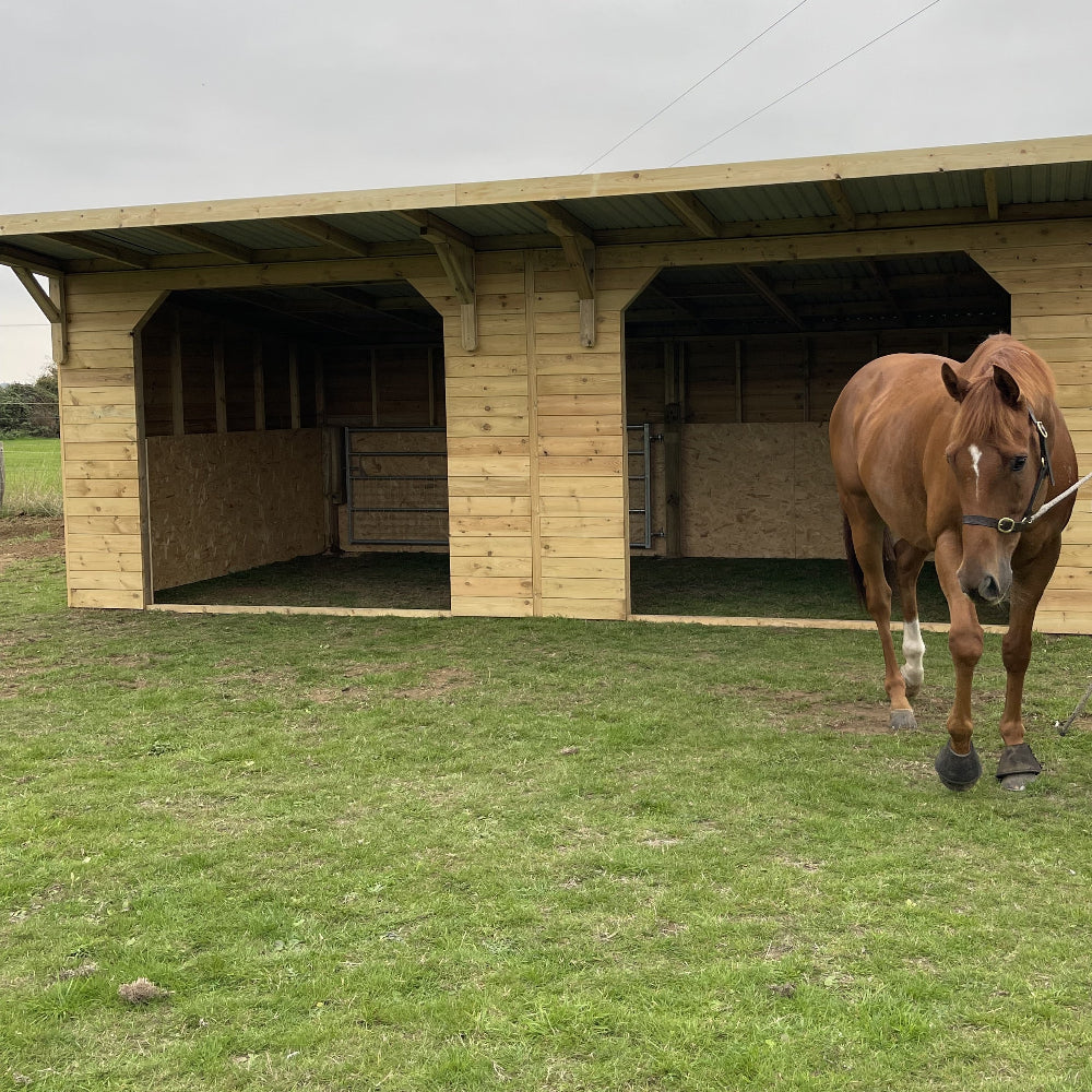 Double Field Shelter 24x12